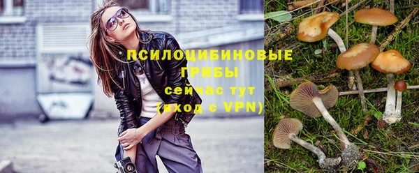 герыч Заводоуковск